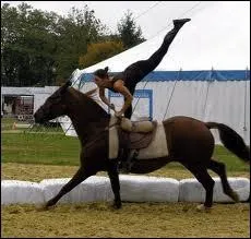 Quelle est cette discipline questre ?