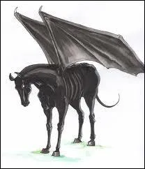 Comment s'appelle ce 'cheval mythique' rencontr dans la saga 'Harry Potter' ?