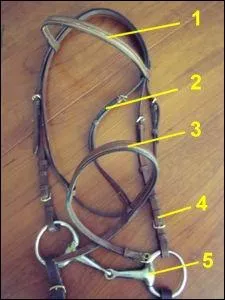 Comment s'appelle la partie 5 ?