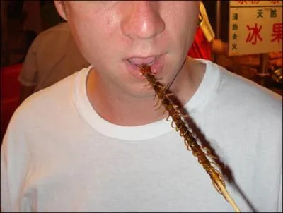 Celles-là sont paraît-il excellentes, les brochettes de ... .