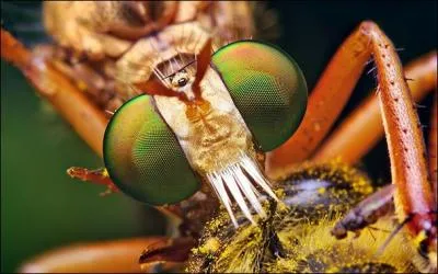 Que représente cette photo ?