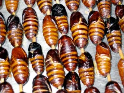 Celles-ci vont subir le mme sort !