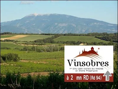 Le vignoble de Vinsobres est trs apprci dans la Drme.