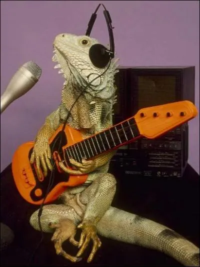 Vous le reconnaissez, c'est un lzard !
