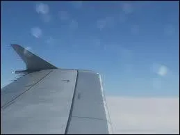 Quelle artiste a chant  Voyage, voyage  dans les annes 1980 ?