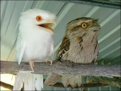 C'est une faon de les nommer, plus gure utilise !