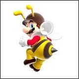 En quoi Mario est-il transform ?