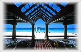 Quel est le genre du mot  chappatoire  ?