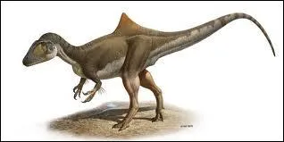 Quel est le genre du mot  appendice  ?