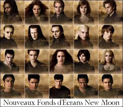 Quel personnage joue Christian Serratos ?