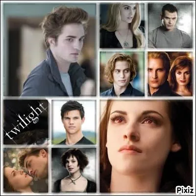 Comment s'appelle la parodie du film ? (version franaise)