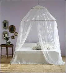 Quel est le genre du mot  moustiquaire  ?