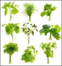 Quel est le genre du mot  aromate  ?