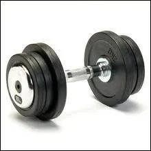 Quel est le genre du mot  haltre  ?