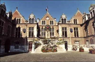 L'Htel Groslot sert d'htel de ville et de salle de mariage  la ville d'Orlans. Quel est le synonyme de htel de ville ?