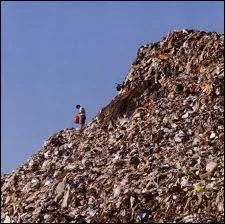 Quel est le genre du mot  immondice  ?