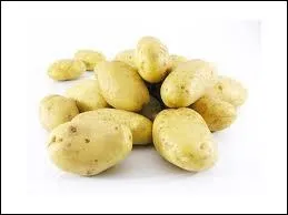 Quel est le genre du mot  tubercule  ?