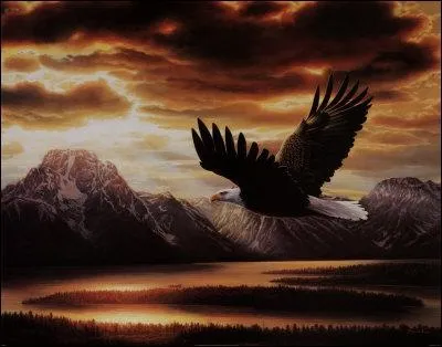 Qui interprte les paroles d'une trs belle chanson o l'on peut entendre  ...comme avant, dans mes rves d'enfant  ?