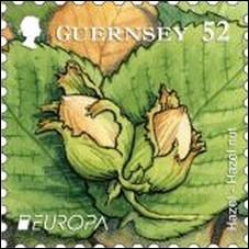 Quel est ce petit fruit souvent mlang avec le chocolat visible sur ce timbre de Guernesey ?