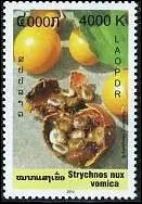 Quel est ce fruit visible sur ce timbre du Laos ?