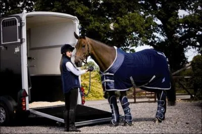 Pourquoi protge-t-on un cheval pendant un voyage ?