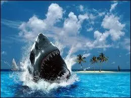 Quel est le genre du mot  anicroche  ?