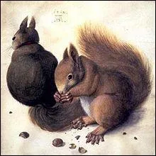 Deux cureuils, 1502