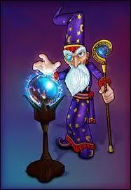 Comment s'appelle le directeur de Wizard School ?