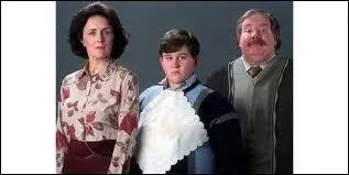 Comment s'appelle la famille d'accueil de Harry ?
