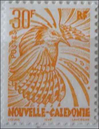 Que ne mange pas le cagou ?