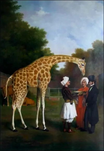 La girafe nubienne offerte  Charles X par Mhmet Ali