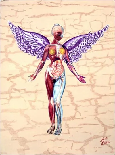 Quel est le titre ce cet album ?