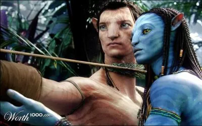 Sur cette photo, un objet a un rapport avec un oiseau !