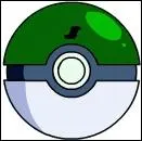 On l'utilise dans les safaris Pokmon. C'est :