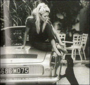 Cette Floride de 1959 est mise en valeur par la plus clbre icne des annes 60, il s'agit de...