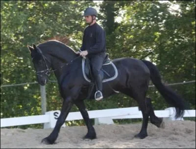 Quel est le mcanisme du galop  gauche parmi ces propositions ?