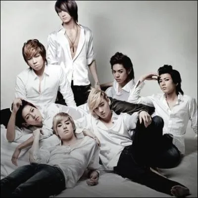 En quelle anne le groupe a dbut ?