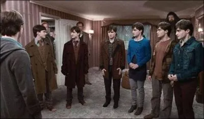 Que disent Fred et George quand ils se regardent et qu'ils sont en Harry ?