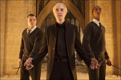 Qui sauve la vie de Drago et de Blaise ?