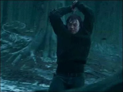 Qui dtruit le mdaillon ?