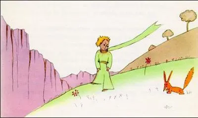 Avec qui discute le petit prince ?