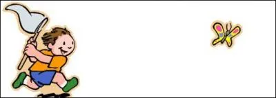 Le papillon est un lpidoptre !