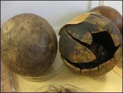 Lequel de ces poisons est un alcalode extrait de la noix vomique ?