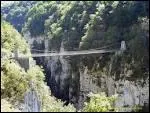 Dans la vall�e de la Soule, une passerelle a �t� �difi�e par des ouvriers italiens pour l'exploitation de la for�t. Quel est le nom de cette passerelle qui surplombe un canyon de pr�s de 200m ?