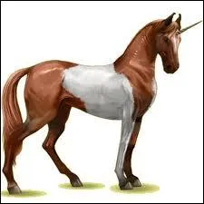 De quelle race est-il ?