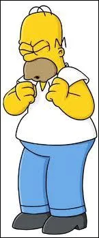 Que dit Homer Simpson sur cette image ?