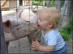 Laquelle de ces propositions n'est pas une onomatope exprimant le dgot ?