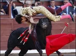 Que crie le public dans une corrida ?