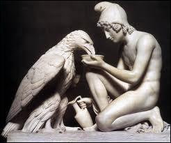 Zeus , métamorphosé en aigle, a enlevé un prince qui était le plus bel adolescent vivant sur la terre. Comment s'appelait l'amour pédérastique de Zeus ?