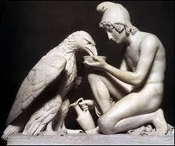 Zeus , mtamorphos en aigle, a enlev un prince qui tait le plus bel adolescent vivant sur la terre. Comment s'appelait l'amour pdrastique de Zeus ?